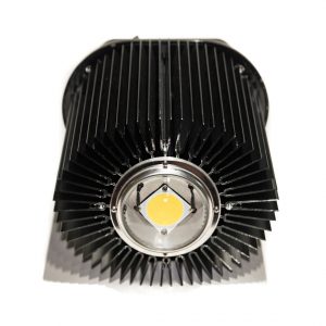 ALE_4849