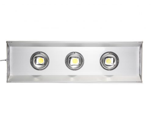 ALE_6010